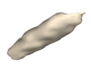 Superior Rectus